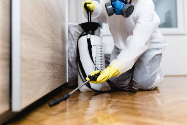 Best Best Pest Control Companies  in Collegedale, TN