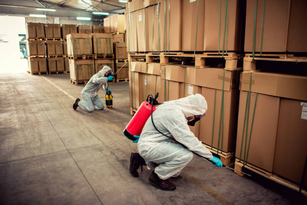 Best Pest Removal Services  in Collegedale, TN