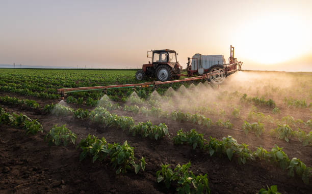 Best Mosquito Control Services  in Collegedale, TN
