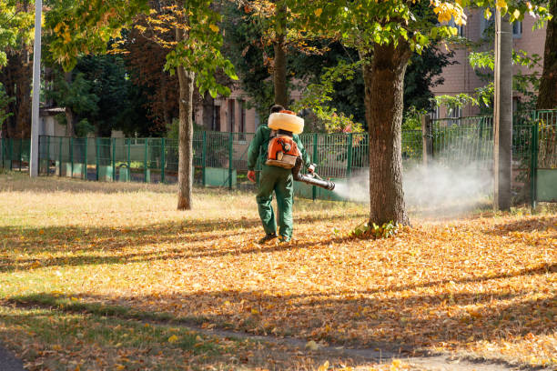 Best Pest Prevention Services  in Collegedale, TN
