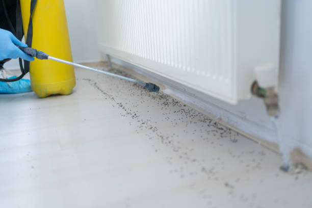 Best Residential Pest Control  in Collegedale, TN
